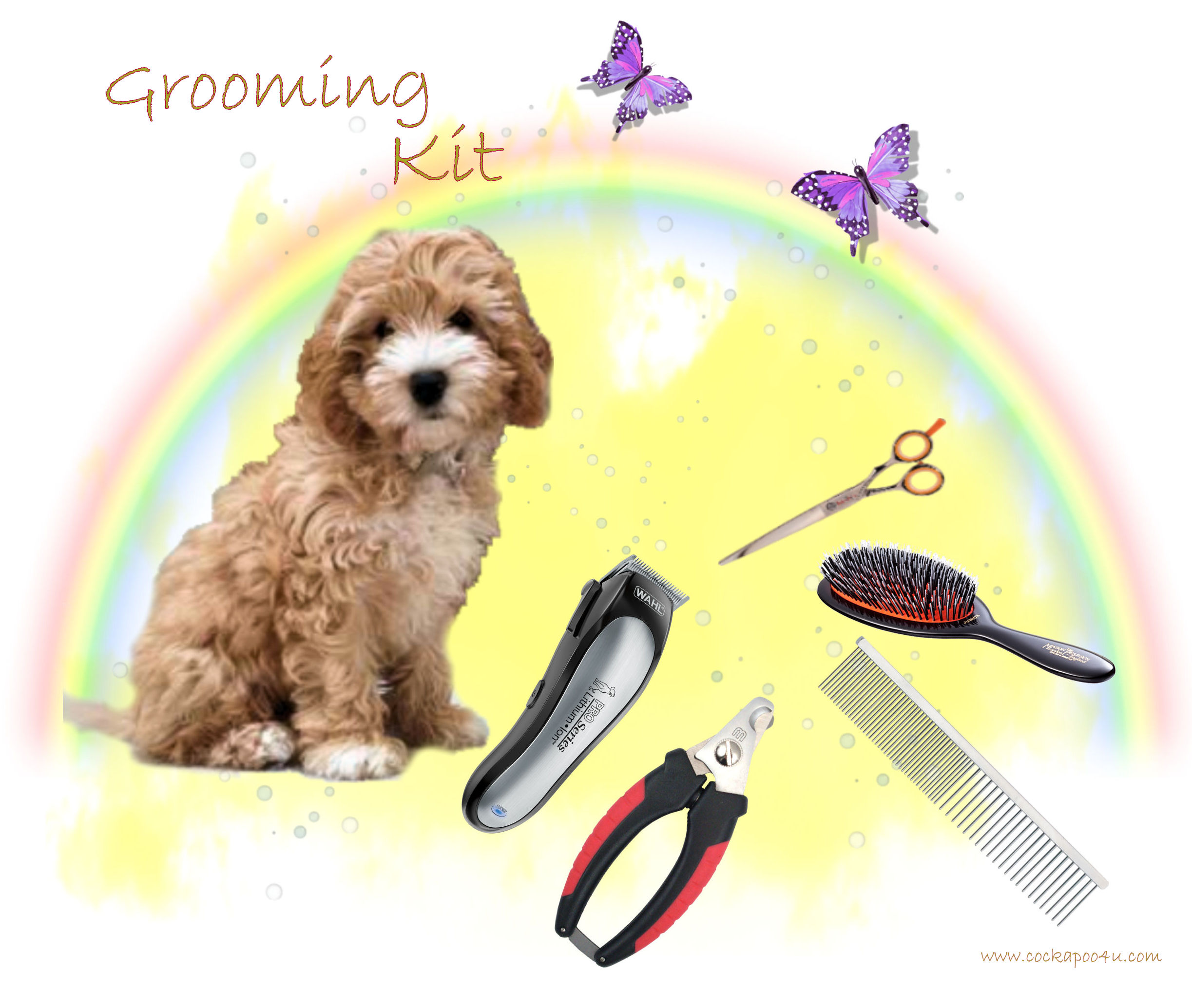 dog grooming kit for cockapoo